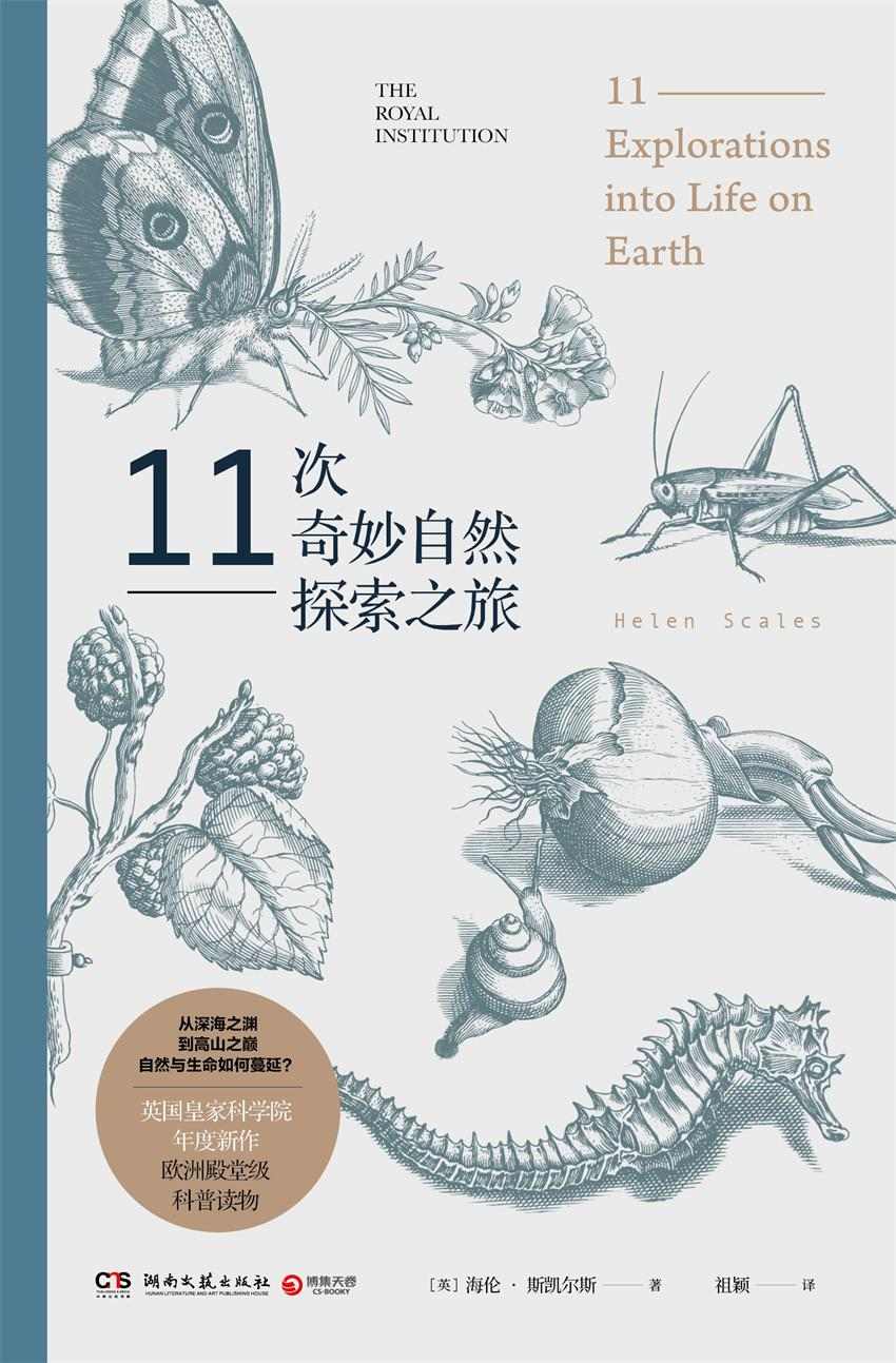 ​《11次奇妙自然探索之旅》-pdf,txt,mobi,epub电子版书免费下载